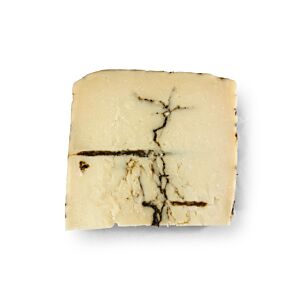 Moliterno al Tartufo